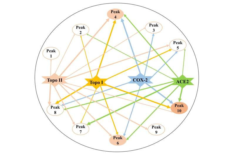 Multifunctional bioactive components screened out from herbal medicine using multi-target ultrafiltration