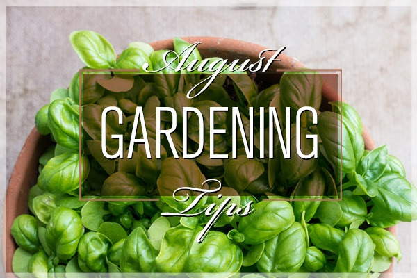 August Home Gardening Tips