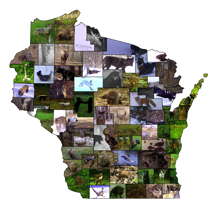 images of wildlife assembled into the shape of Wisconsin