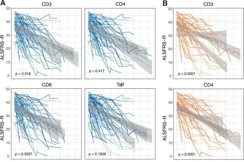 Immune cells in ALS patients can predict the course of the disease