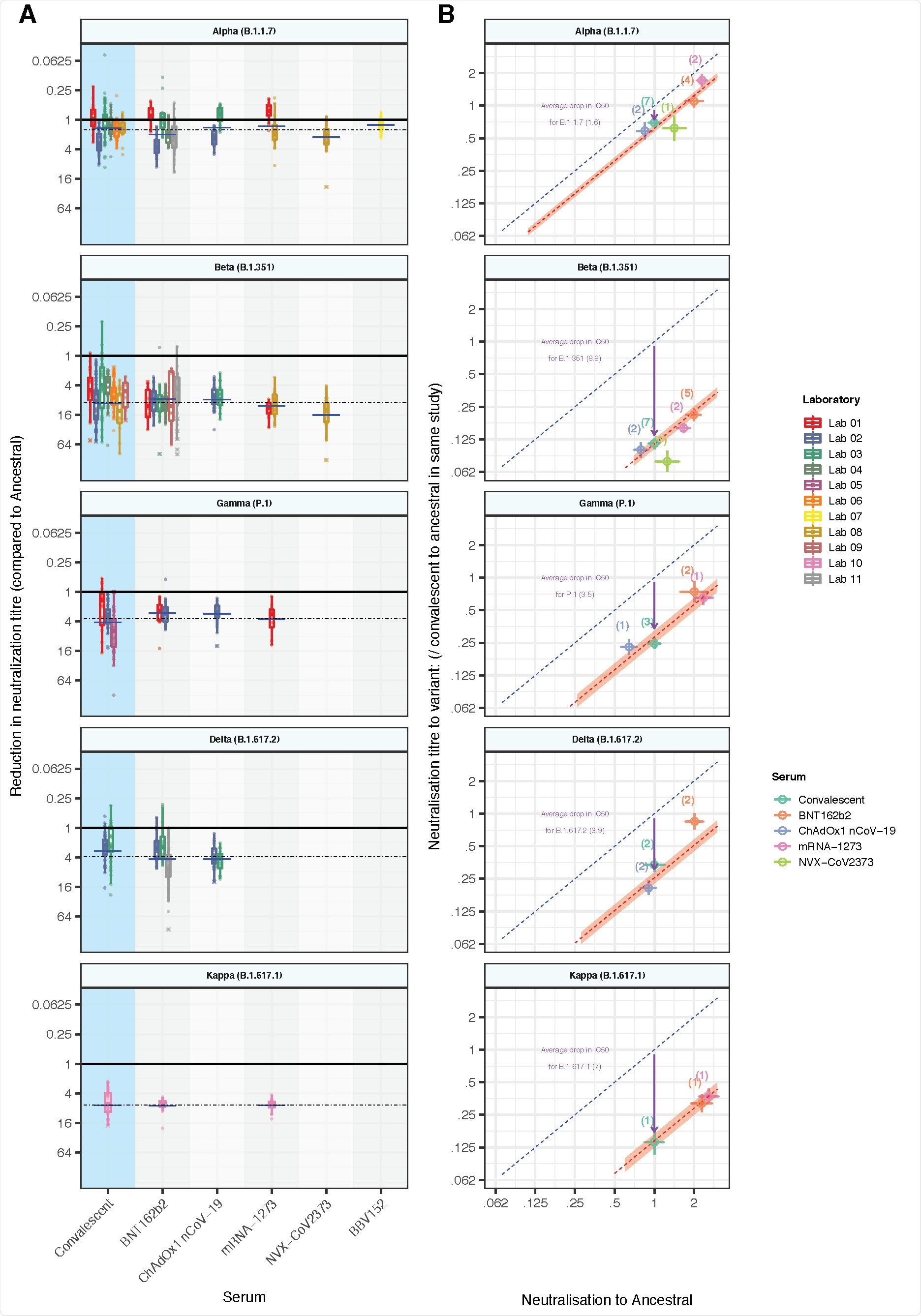 In vitro neutralisation of SARS-CoV-2 variants: (a) The change in neutralisation titre between the ancestral virus and different SARS-CoV-2 variants for either convalescent individuals (left) or those immunised with different vaccines is shown. Individual colours reflect different studies / laboratories (described in detail in Supplementary Table 1). Solid dots indicate where titres were measurable for both ancestral and variant neutralisation. Crosses indicate where one titre fell below the limit of detection for that assay. Different studies estimate quite different changes in neutralisation titre even for the same vaccine / variant combination. The dashed horizonal line indicates the weighted mean drop in titre for a given variant (across all vaccine and convalescent samples), and horizontal bars indicate the weighted mean titre for a given vaccine / variant combination. (b) The mean neutralisation titre against the ancestral virus (x-axis) is highly correlated with mean neutralisation titre against the VOC (y-axis). The predicted line for a 1:1 relationship is indicated (dashed blue line). The observed mean drop in neutralisation titre across all vaccines and convalescent subjects is indicated by an arrow, and the predicted levels of variant neutralisation are indicated by a dashed red line (shading indicates 95% CI) are shown. The points indicated are the mean neutralisation levels for a given vaccine / variant combination, averaging across available studies (number of studies indicated).