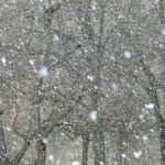 snowfall-16318_960_720