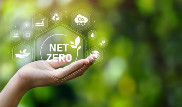image of person hand with net zero sign