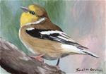 American Goldfinch ACEO - Posted on Wednesday, December 10, 2014 by Janet Graham