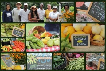 Collection of images of people holding fresh produce, farmers, and gardeners