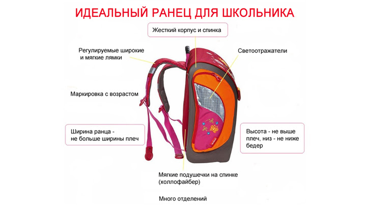 Как выглядит ортопедическая спинка у школьного рюкзака