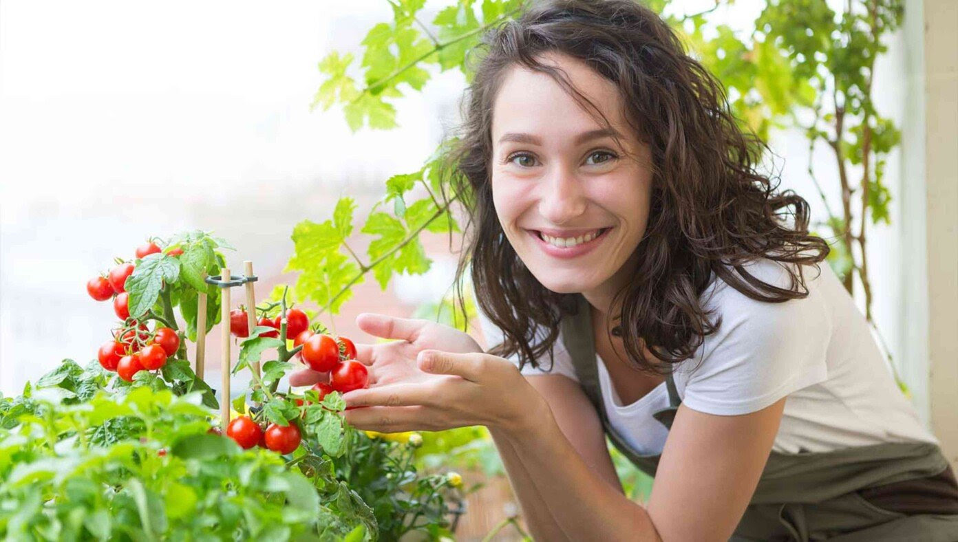Mom Confident Family Has What It Needs To Survive WWIII Now That The Tomato Plant Has Sprouted