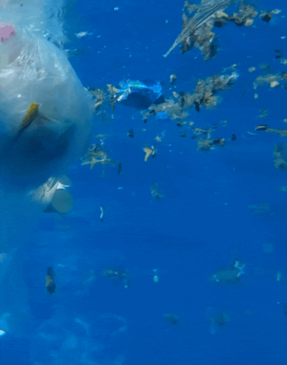 EMUAGE • Pollution des océans