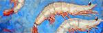 White Shrimp - Posted on Saturday, January 24, 2015 by Rick Nilson