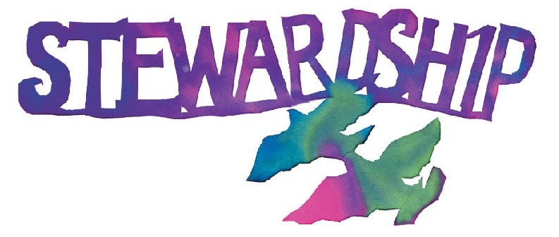 Image result for stewardship