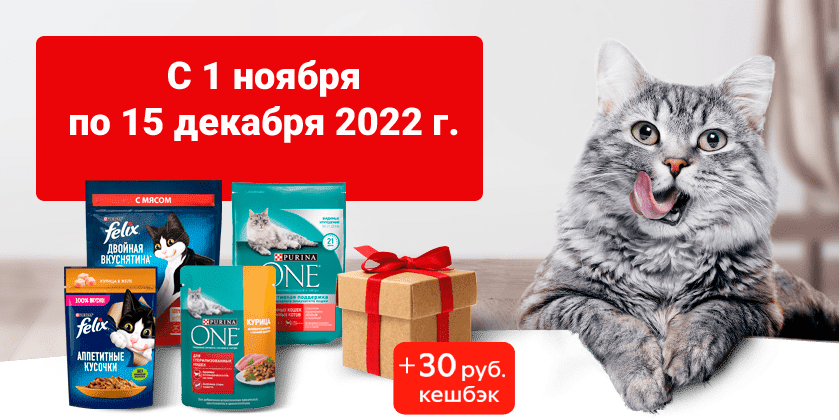 С 1 ноября по 15 декабря 2022 г.