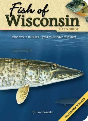 Fish of Wisconsin Field Guide EPUB