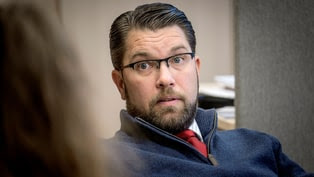 Sweden Democrats party leader Jimmie Åkesson does not believe that the party needs to distance itself from Chang Frick.