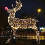 Rudolph