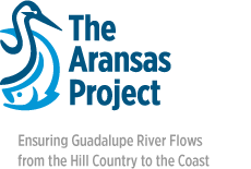 Ensuring Guadalupe River Flows from the Hill Country to the Coast