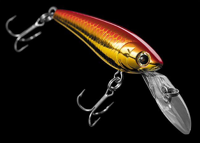 DAIWA: Shad Bait Now Available – Traditions Media – The Anti-Agency… Agency
