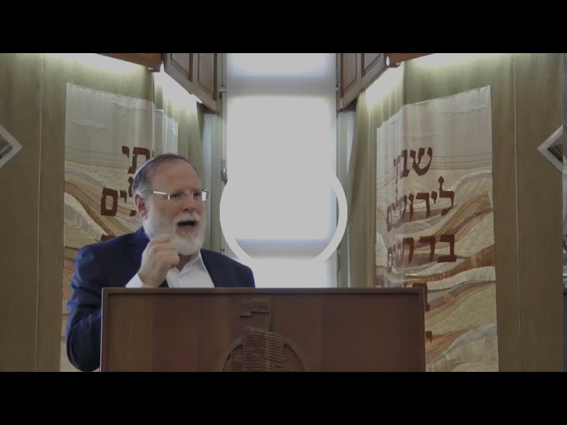 מו"ר ראש הישיבה הרב ברוך וידר שליט"א-לבניינה של תורה חלק רפ"ז - יום הקדיש הכללי