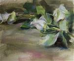 White Roses Study - Posted on Monday, February 23, 2015 by Pamela Blaies