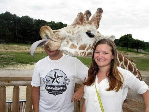 Giraffe_tongue_photobomb