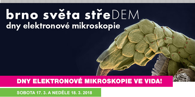 Dny elektronové mikroskopie ve VIDA! sobota 17. 3. a neděle 18. 3. 2018