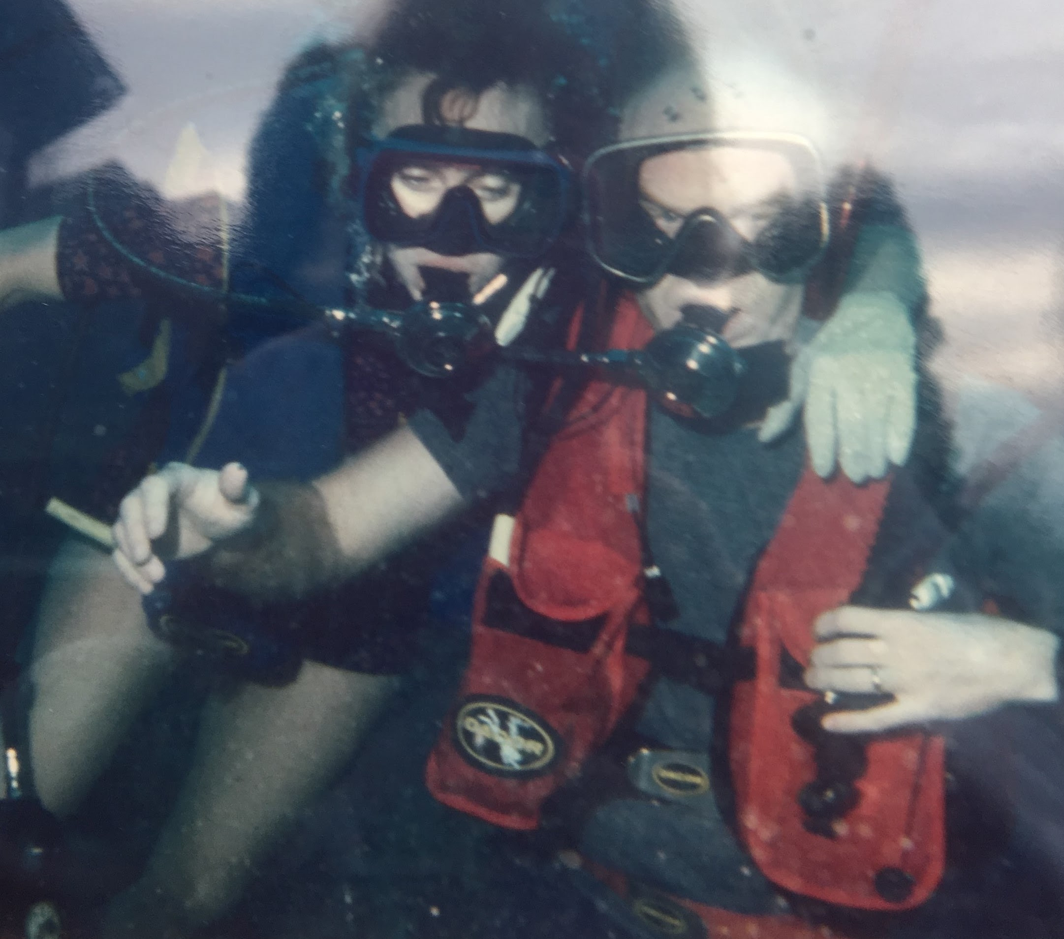 My mom and dad scuba diving