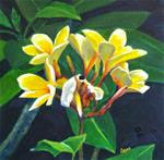 Yellow Plumeria, Floral Painting, 10x10, Original Oil Painting - Posted on Thursday, March 26, 2015 by Carmen Beecher