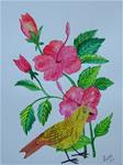 Hibiscus and Yellow Bird - Posted on Sunday, March 22, 2015 by Ketki Fadnis