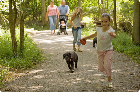 family walking in the woods