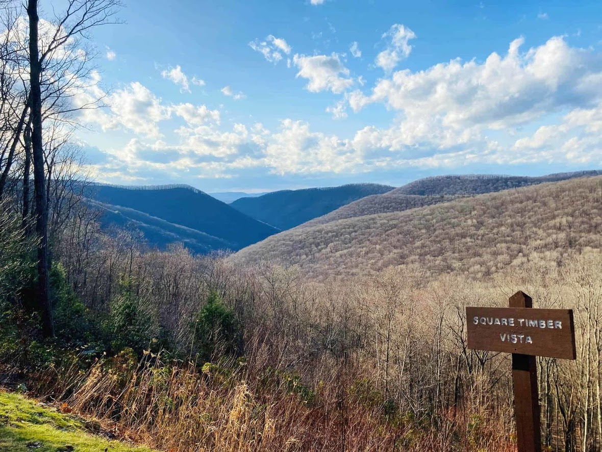 A wide, landscape vista view of rolling mountain ridges that extend into the distance. All the trees are bare of leaves. A small wooden sign reads: Square Timber Vista
