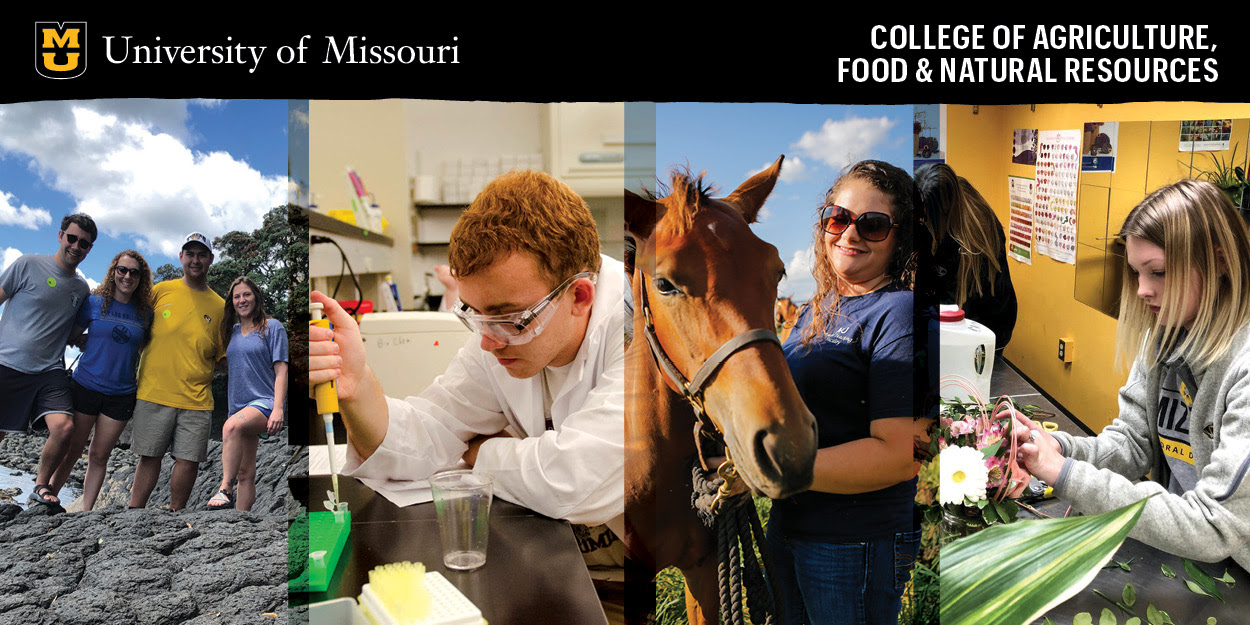 A look at the activities of Mizzou CAFNR students