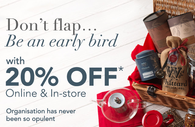 20% Off Online & In-store