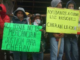Indigenous children hold placards supporting the struggle in Cherán. / Credit:Daniela Pastrana/IPS