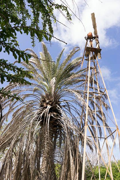 Jardín Botánico de Curazao