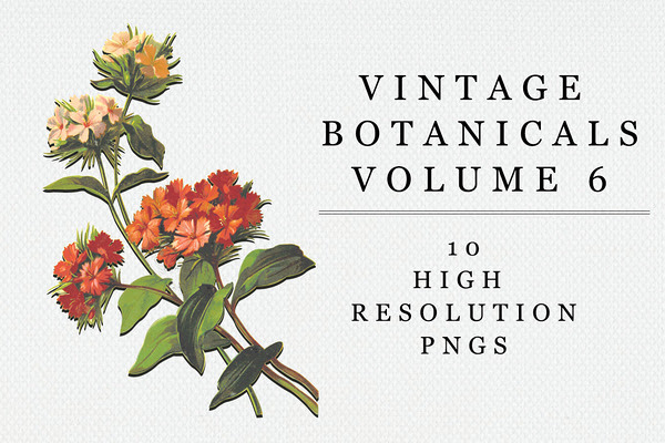 Vintage Botanical - Vol 6