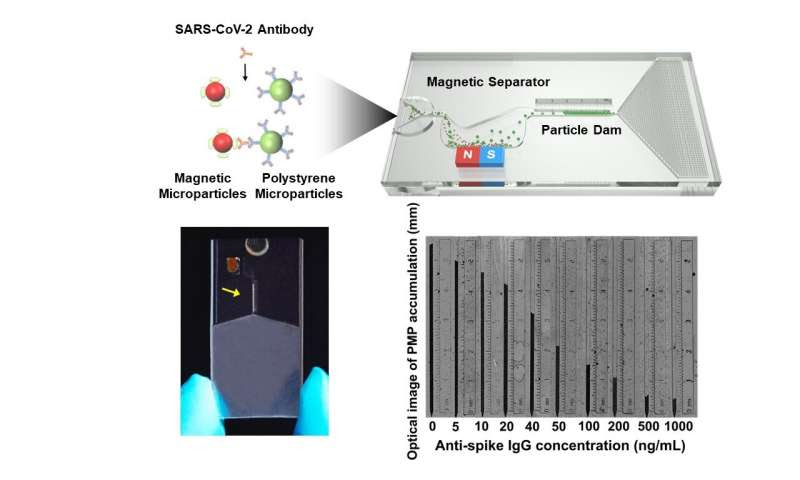 CityU researchers invents accurate rapid COVID-19 antibody level test