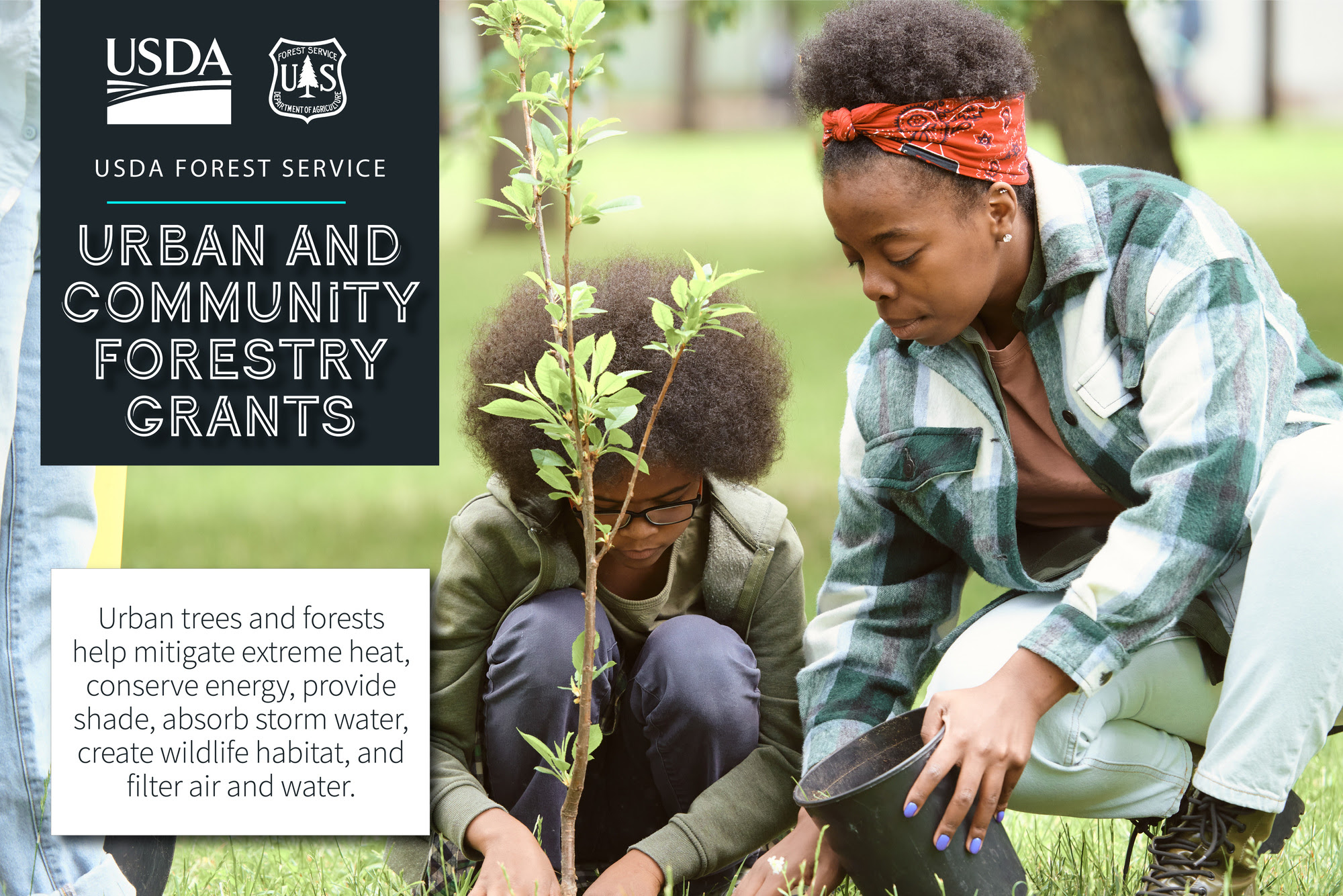 USDA Forest Service Urban and Community Forestry Grants