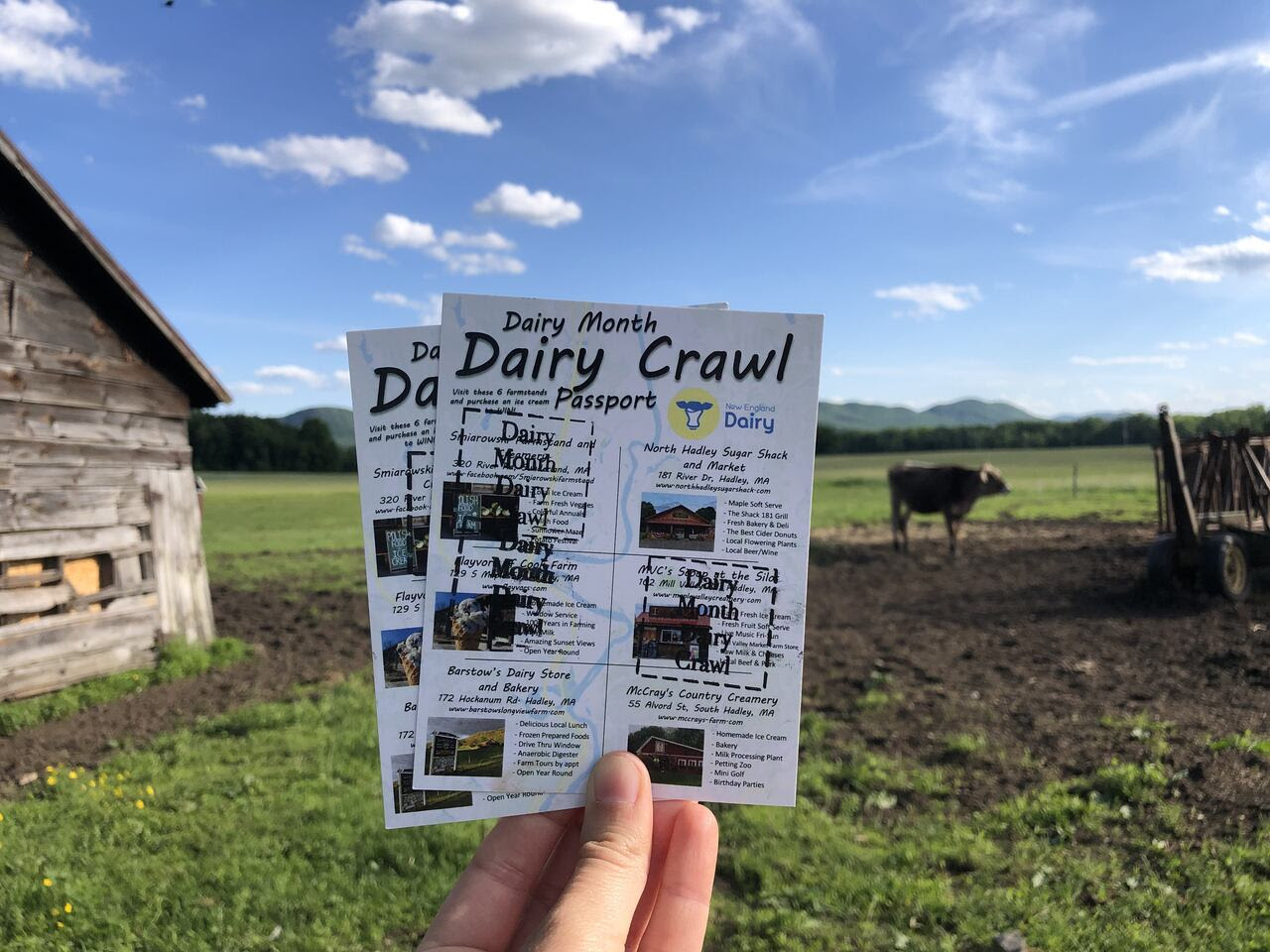 Dairy Month Dairy Crawl