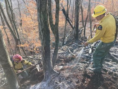 Rangers using tools and extinguisher to control fire in woods