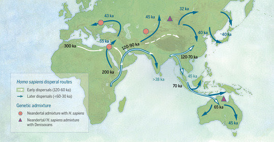 DNA Reveals Multiple Human Migrations from Africa Began 120,000 Years Ago, 60,000 Years Earlier Than Traditionally Thought