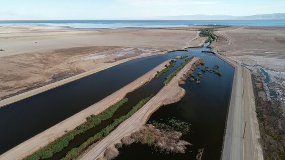 Water retained at New River Diversion Structure at the Salton Sea