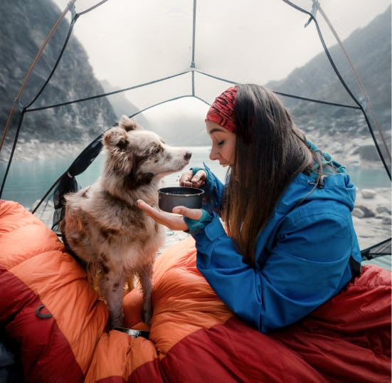 Camping tips for dog owners