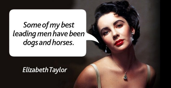 zingers, comebacks, quotes
