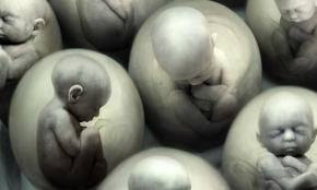 Solo el 32% da en embarazo 68% de embriones se descartan