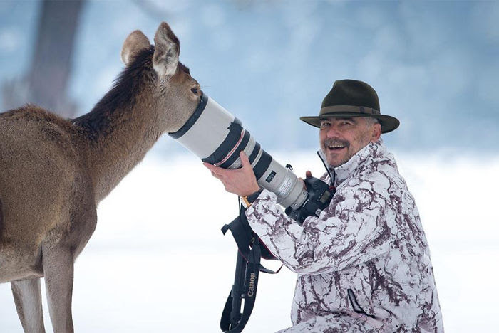 Wildlife                                                            Photographers