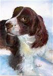 5x7 English Springer Spaniel Dog Pet Portrait Mixed Media by Penny StewArt - Posted on Wednesday, February 4, 2015 by Penny Lee StewArt