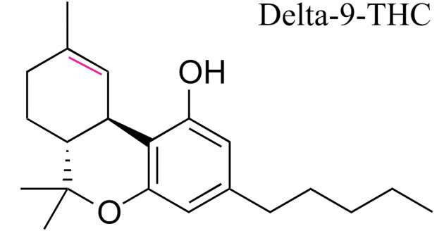 Both types of THC get you high — so why is only one illegal?