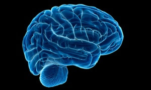 Infinite Memory Online Course