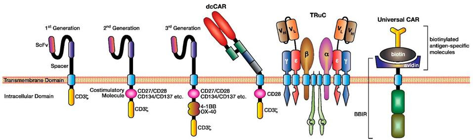 Generations and modifications to chimeric antigen receptor design