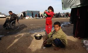 Дети, живущие в палатках в Рафахе, пытаются найти еду.