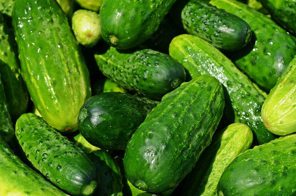 Pepinos, Legumes, Comer, Cozinha, Pepinos De Ensilagem
